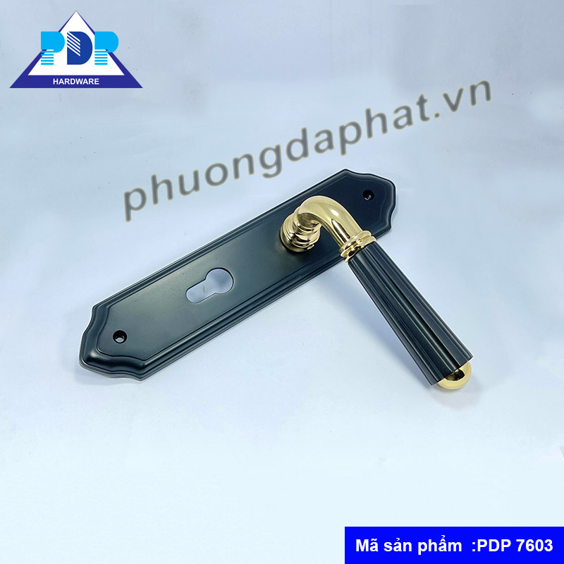 Khóa Cửa Phòng mang phong cách tân cổ điển