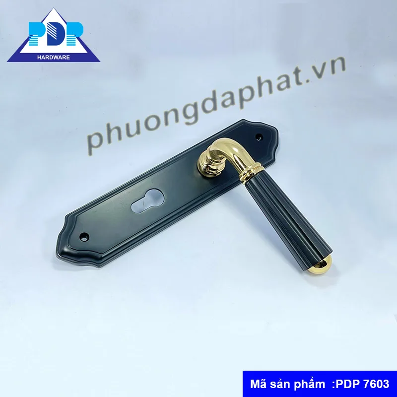 Khóa cửa phòng tân cổ điển PDP7603
