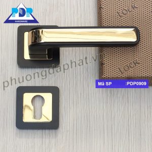 Khóa Cửa Tay Gạt mang dáng vẻ hiện đại với sự kết hợp giữa màu vàng bóng và đen tạo sự thanh lịch cho tổng thể.