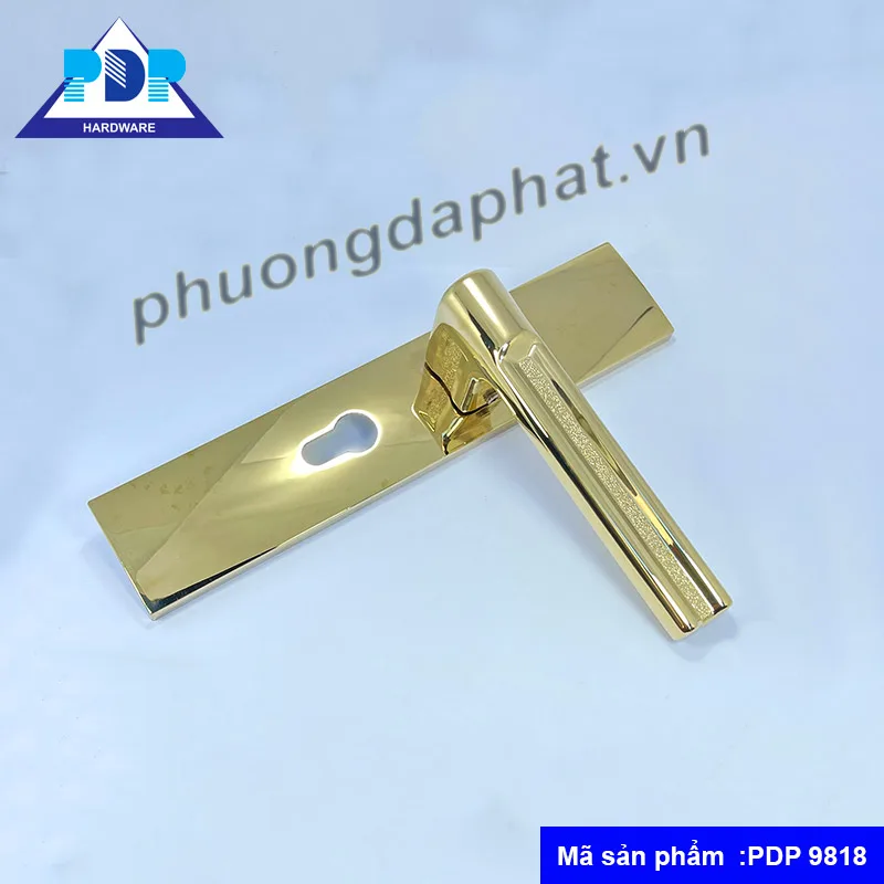 Khóa Cửa Thông Phòng Gạt Tay Hiện Đại Màu Vàng PDP9818