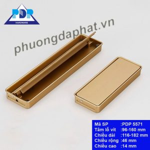 Tay Nắm Tủ Âm Hiện Đại với thiết kế độc đáo cùng màu vàng mờ rất trang nhã duyên dáng tạo điểm nhấn vượt trội